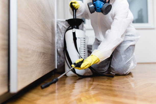 Best Bed Bug Extermination  in Lake Tapps, WA