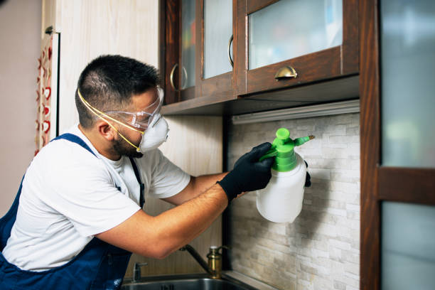 Reliable Lake Tapps, WA Pest Control Solutions