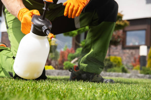 Best Emergency Pest Control  in Lake Tapps, WA