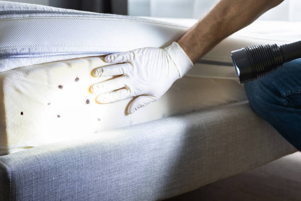 Best Exterminator Services  in Lake Tapps, WA